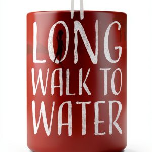 Rock the Boat Childrens African Historical Fiction Kindle-0