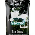 Shioni of Sheba Book 4 Kindle Childrens African Historical-0