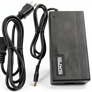 SANS 48V Electric Scooter Charger 2A Smart Battery-0