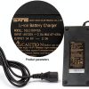 SANS 48V Electric Scooter Charger 2A Smart Battery-1