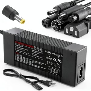 24V Scooter Charger GuangDong 29.4V 2A Fast-0