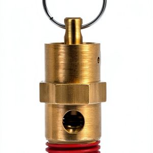 QWORK Brass Pressure Relief Valve (2 Pack) - 1/4 Inch NPT Threaded, 150 PSI Rating, Air Compressor Check Valve with Seal Thread Locks-0